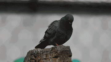 圖片關(guān)鍵詞 圖片