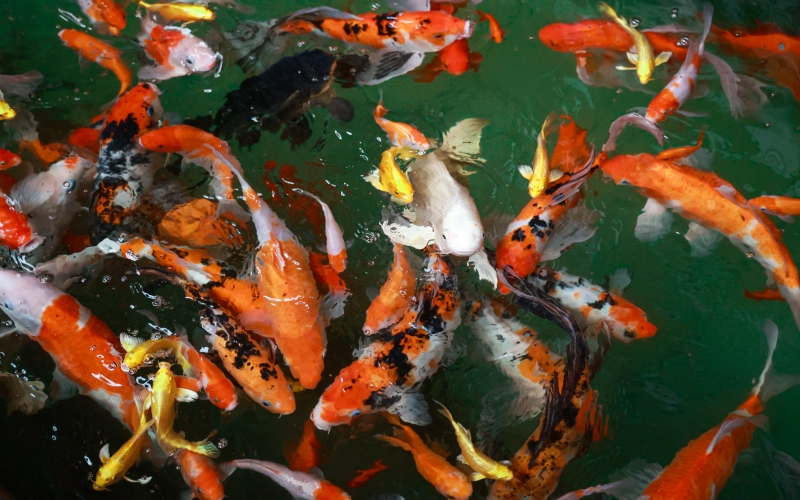 媒體榮程 - 新華社：產(chǎn)業(yè)鏈上抓升級 制造業(yè)企業(yè)“轉(zhuǎn)型記”