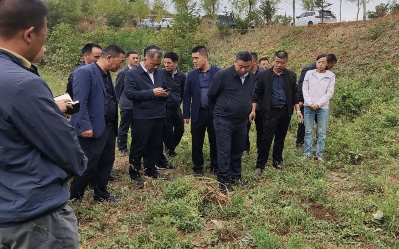 天水市政協(xié)副主席、清水縣委書記馬越垠到“榮程百草莊園”中藥材試驗(yàn)基地調(diào)研中草藥產(chǎn)業(yè)發(fā)展工作