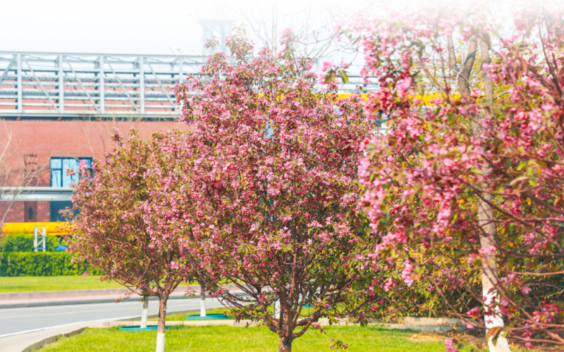 榮程視覺 - 來，一起走進(jìn)春天里的榮程鋼鐵