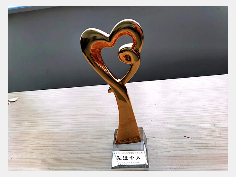 天津市扶貧協(xié)作和支援合作工作先進(jìn)個(gè)人（獎(jiǎng)杯已擺放主席MSD辦公室）