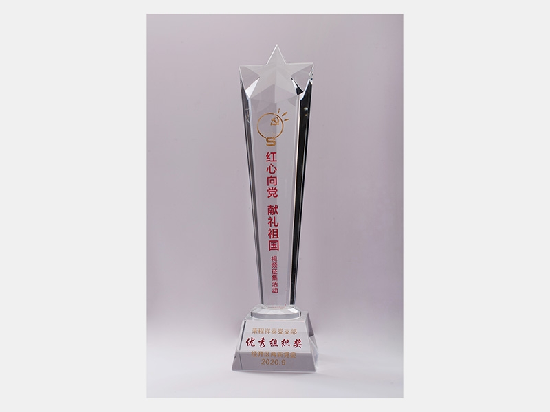 紅心向黨 獻禮祖國 視頻征集活動 優(yōu)秀組織獎